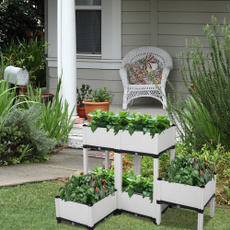 Box, gardenbed, Plants, raisedgardenbed