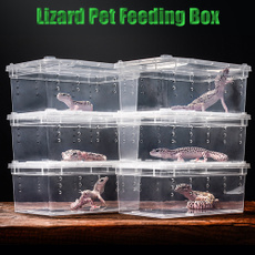 hatchingterrarium, Box, reptile, breedingbox