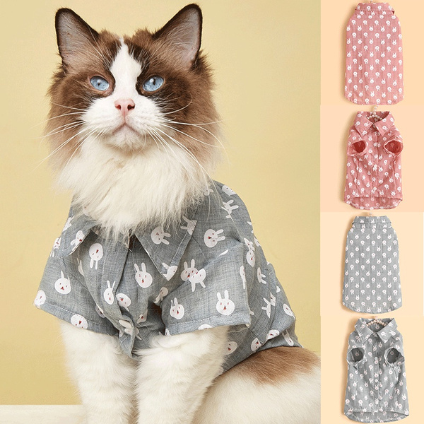 wish cat clothes