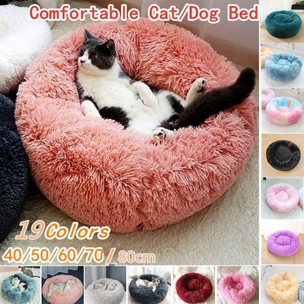 wish cat bed