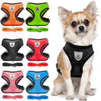 Vest, puppy, harnesseslead, Pets