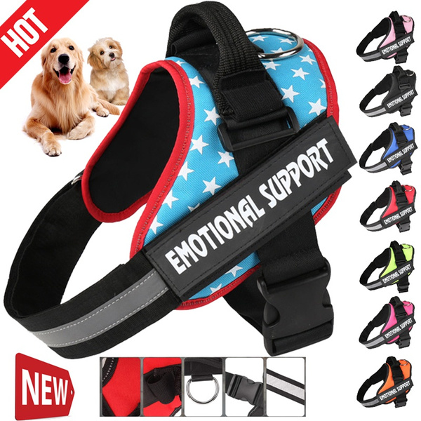 husky dog accessories