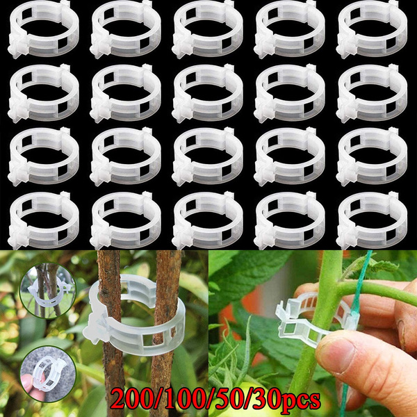 Plant Support Clips, Tomato Clips, PP Plastic Garden Trellis Clips ...