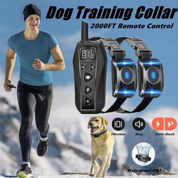 pet diary shock collar