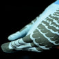 thumbnail - 8