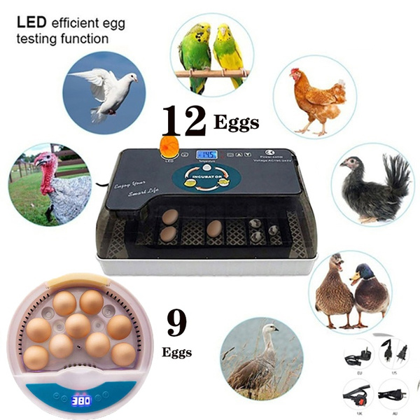 Farm Hatchery Incubator Brooder Machine 9/12 Egg Hatchers Cheap Price ...