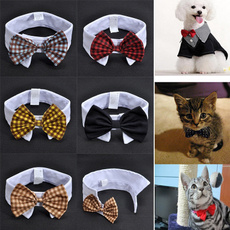 puppyaccessorie, Fashion, Dog Collar, puppy