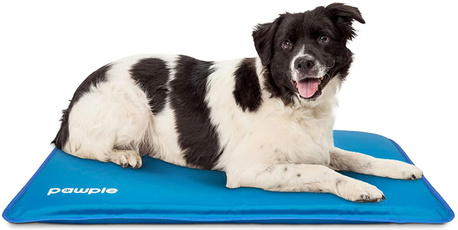 petcoolingmat, coolingdogbed, coolingbedfordog, coolingmatfordog