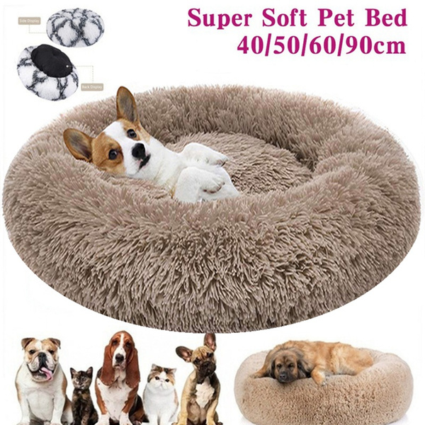 long dog bed