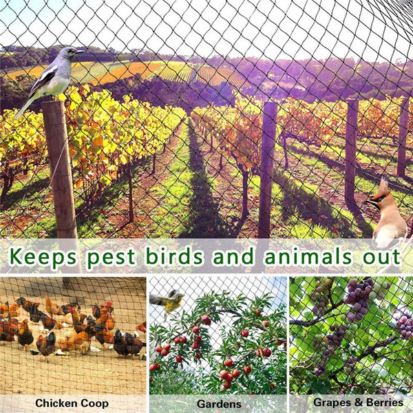 Anti Bird Netting Garden fence，Crops Protective Anti Bird Deer Dog Chicken Net 