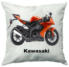 case, motorbike, Cover, zx10r