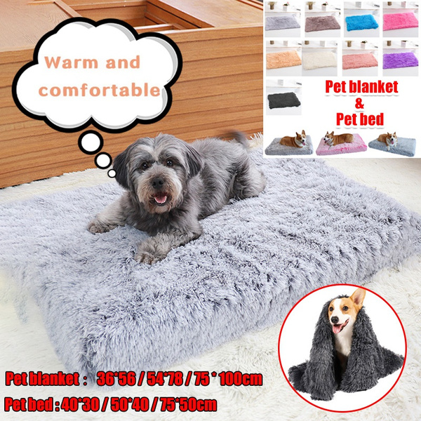 Comfy marshmallow dog outlet bed