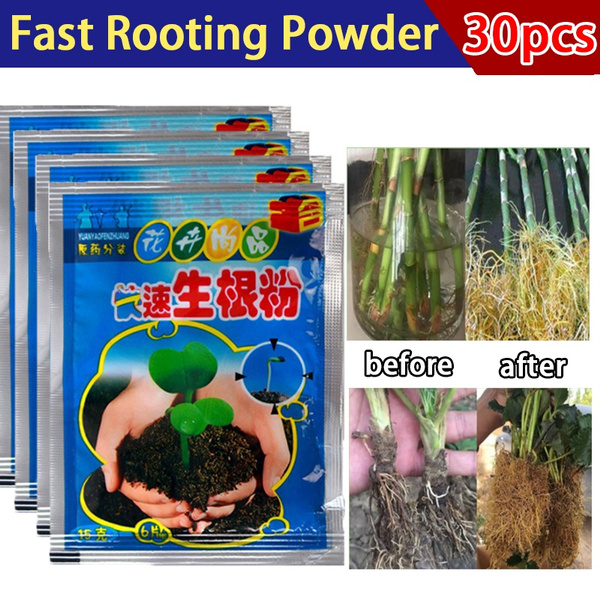 Rooting Powder Hormone Growing Root Seedling Germination Cutting Seed Garden.