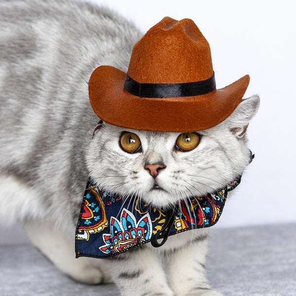 mini cowboy hat for cat