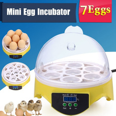 Mini, Kitchen & Dining, eggpoacher, minieggincubator