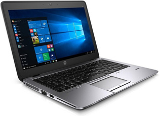Warranty, Hp, 8gb, amd