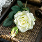 thumbnail - 6