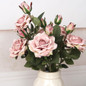 thumbnail - 2