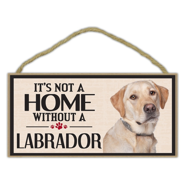 lab dog accessories