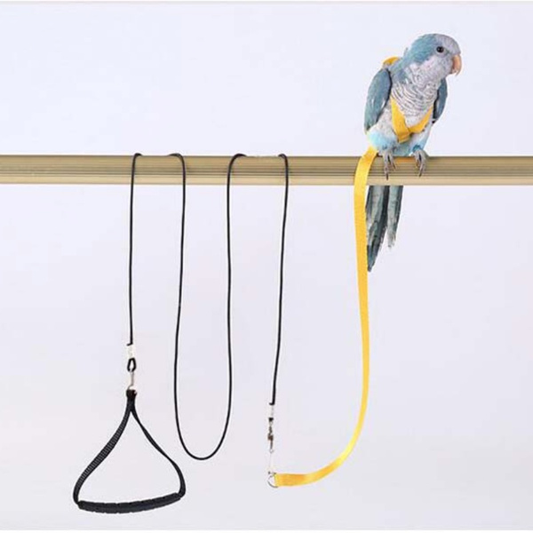 Macaw harness hot sale and leash