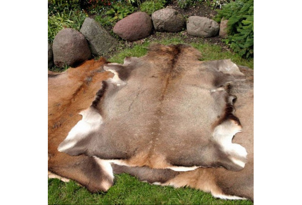 Large Giant Red Deer Skin Hide (Cervus Elaphus) Stag Fur Pelt Rug Taxidermy Home Floor Decor Design Carpet or Wall Hanging factory