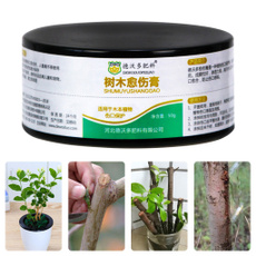 Bonsai, repair, Plants, wound