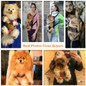 thumbnail - 1
