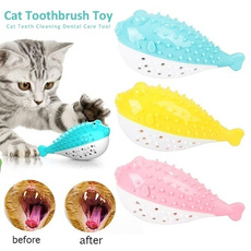 cattoy, Toy, puppy, cataccessorie