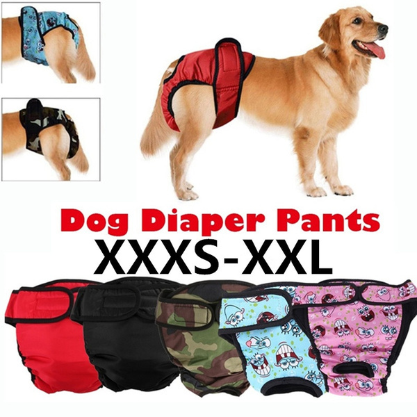 dog menstruation pants