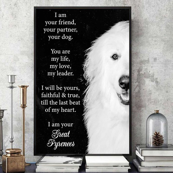 great pyrenees stuff