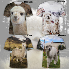 Summer, Fashion, alpaca, Sleeve