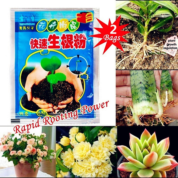 2 Bags Fast Rooting Powder Bonsai Plant Growth Regulator Hormone Growing Root Seedling Germination Cutting Seed Aid Fertility Gardening Supplies Arrow ...