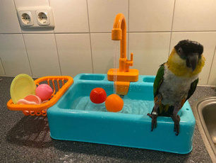 Faucets, Toy, birdbathtoy, Pets