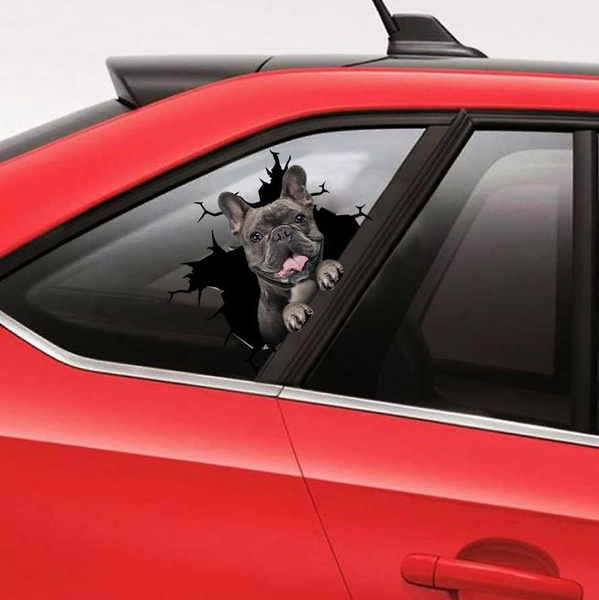 dog car window hole