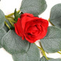 thumbnail - 5