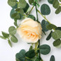 thumbnail - 6