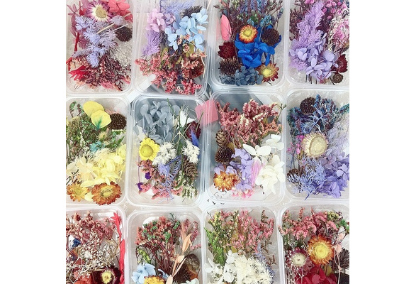 Real Dried Flower Resin Mold Fillings DIY UV Flower Epoxy Molds Crafts