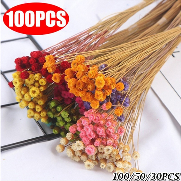 Real Happy Flower Small Natural Dried Flowers Bouquet Dry Flowers Press Mini  Decorative Photography Photo Backdrop Decor