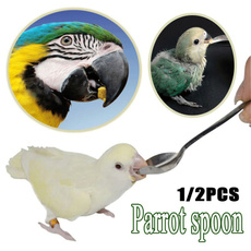 petfeedingsupplie, Steel, petfeedingspoon, birdfeedingsyringe