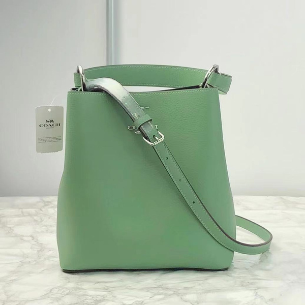 Coach town bucket bag green hot sale