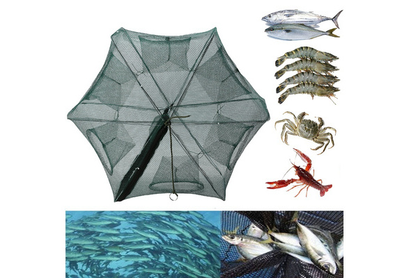 ZffXH Fishing Bait Trap Foldable Crab Crayfish Fish Minnow Crawdad Shrimp  Net Cast Portable – BigaMart