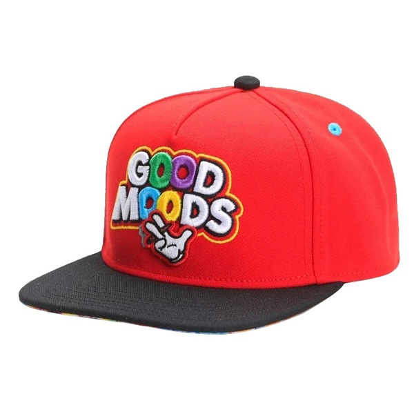 Cotton Embroidery Hip Hop Snapback Hat 
