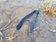 thumbnail - 1