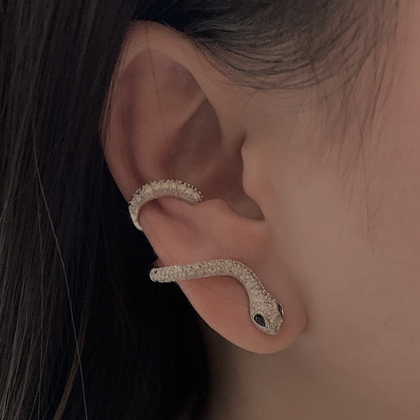 Creative winding snake earrings Couple earrings left ear Right ear Snake earrings Stud Earrings 