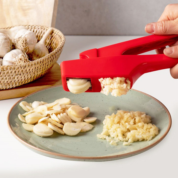 1pc Stainless Steel Garlic Press, Multi-functional Hand-held