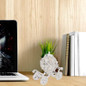 thumbnail - 2
