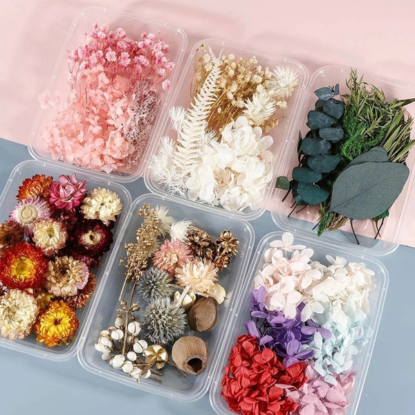1Box Real Dried Flowers For DIY Art Craft Epoxy Resin Pendant Jewellery  Making