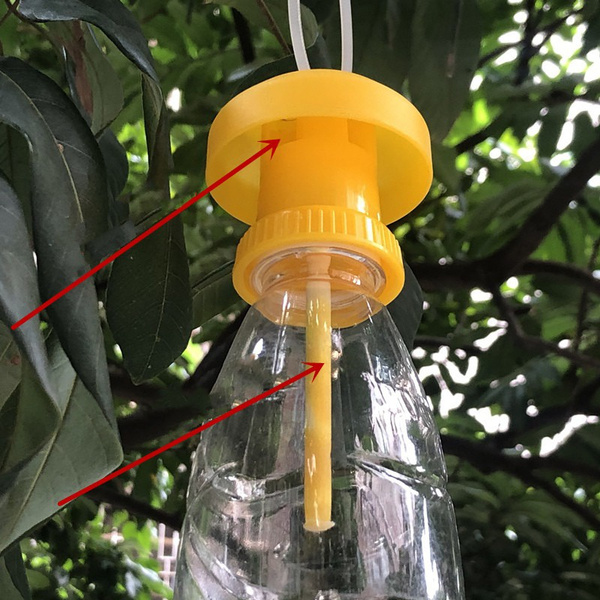 Fruit Fly Trap Killer Plastic Yellow Drosophila Trap Fly Catcher Pest ...