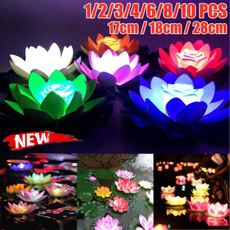 led, Garden, Colorful, fish