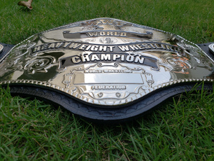 Fashion Accessory, championship, Wrestling, wwf